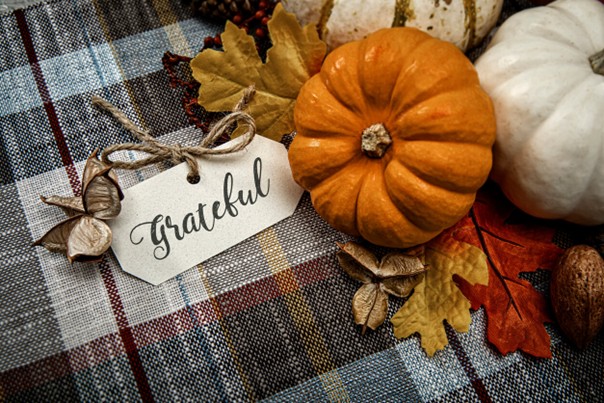 we're thankful for new neighbor campaigns